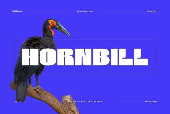 Hornbill Display Font for Confident Branding